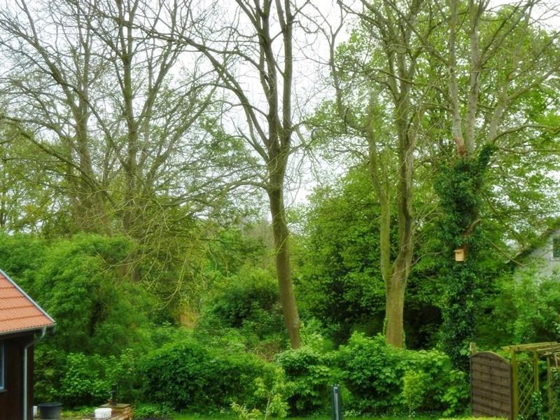 Villa Gesine'S Huuske Eilsum Exterior foto
